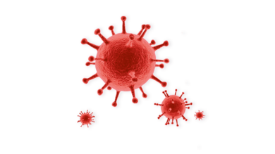 Koronavirus. Профилактика и облегчение болезни